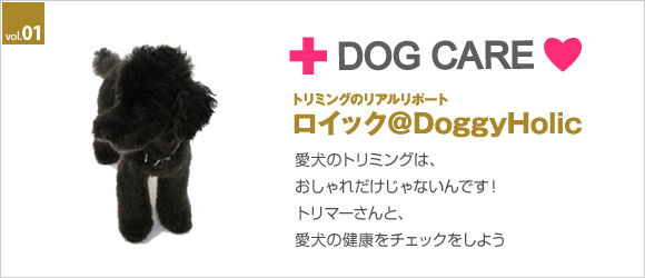 dogcare_head01.jpg